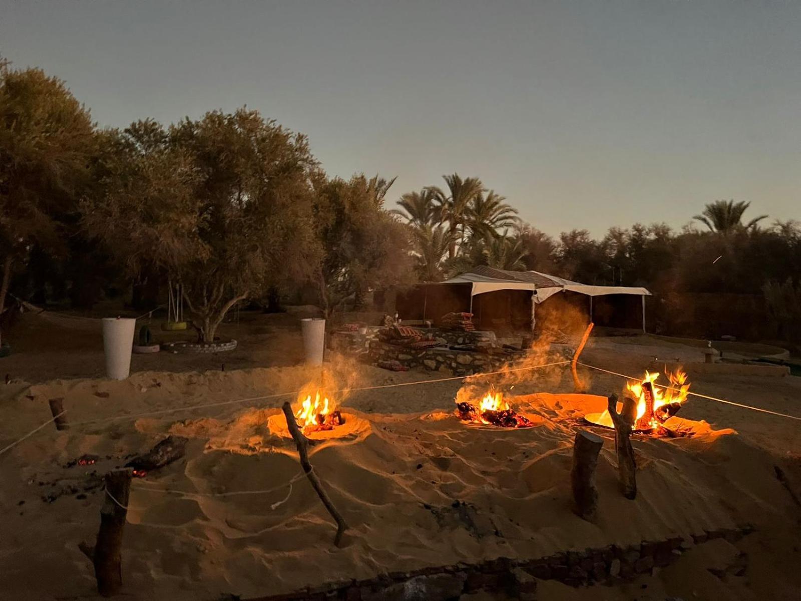 Aghurmi Siwa Ecolodge & Salt Cave Siwa Oasis Extérieur photo